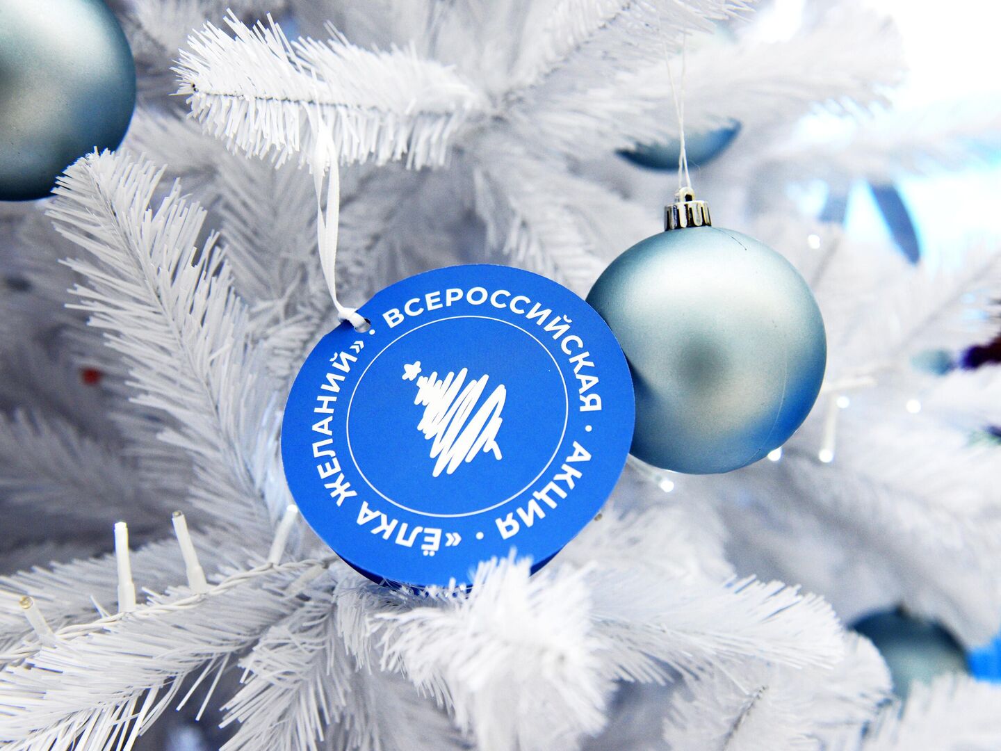 Общественная палата РК присоединилась к благотворительной акции "Елка желаний"